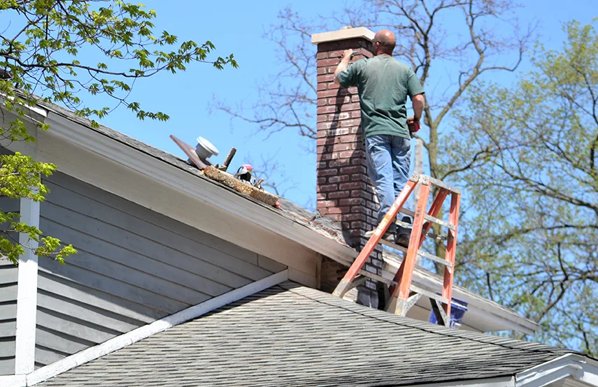 Chimney & Fireplace Inspections Services in Fairland, MD